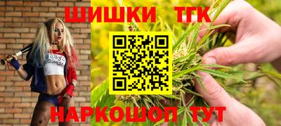 Альфа ПВП Ачхой-Мартан