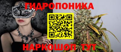 apvp Аша