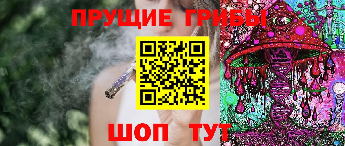 Псилоцибиновые грибы Psilocybine cubensis Беслан
